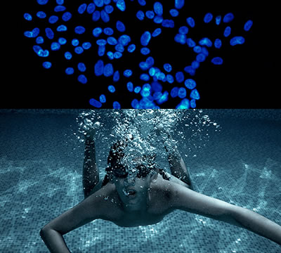 GB 4789.43-2016酶制劑抗菌活性測試用菌-C3