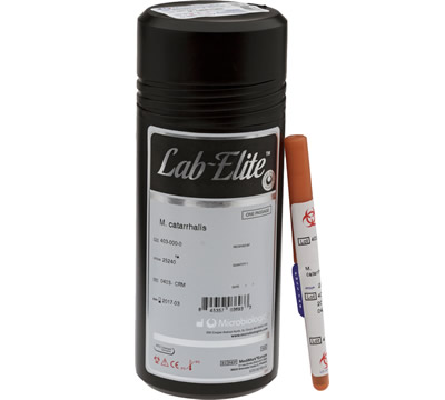 ATCCATCC6538金黃色葡萄球菌-C3