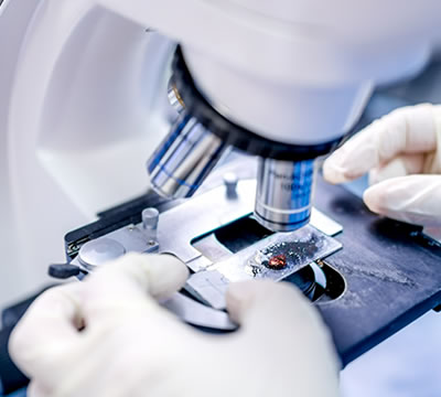 一起來了解一下ATCC菌種與CMCC菌種有什么區(qū)別