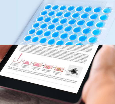 一起來了解一下ATCC菌種與CMCC菌種有什么區(qū)別