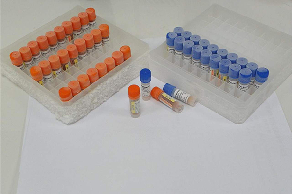 膠州醫(yī)院訂購我司ATCC43300標準菌株