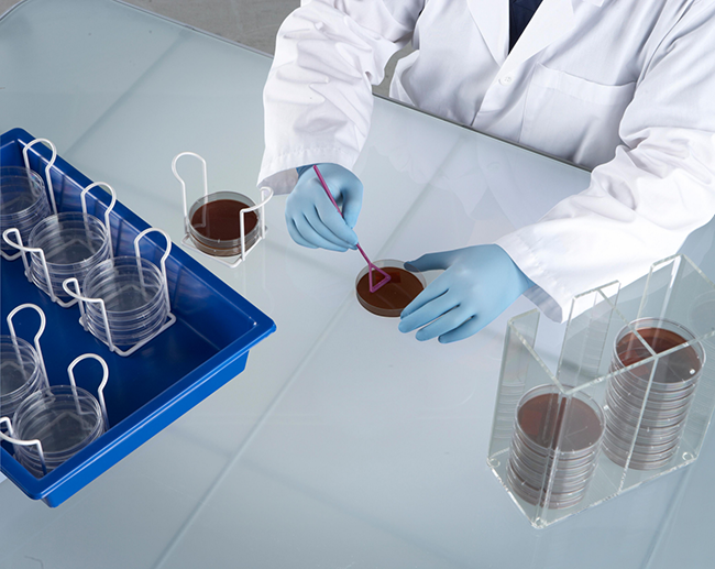 從綠谷商貿(mào)購(gòu)買(mǎi)的ATCC菌株通常有三層包裝