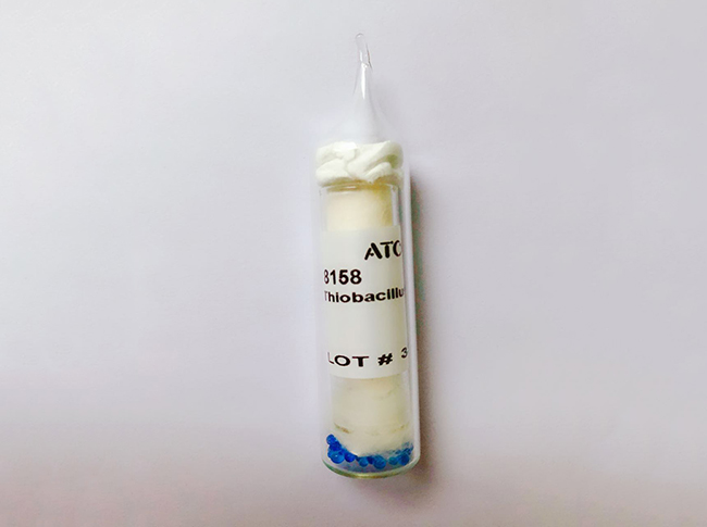 學校老師表示我們質(zhì)量方便很是可靠，希望我們能夠長期合作為他們供應ATCC菌株產(chǎn)品。