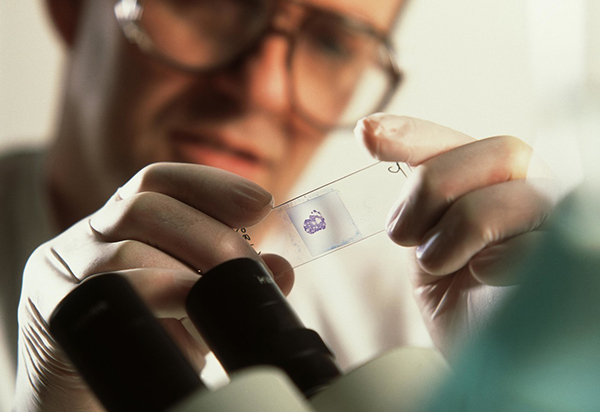 3M檢測(cè)片發(fā)往西安食品實(shí)驗(yàn)室