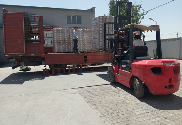 江蘇老客戶(hù)的下單ATCC菌株訂單發(fā)貨